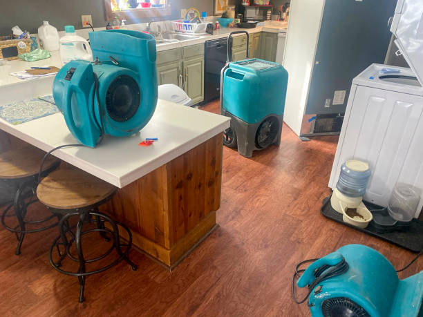 Best Flood damage cleanup  in Alturas, CA