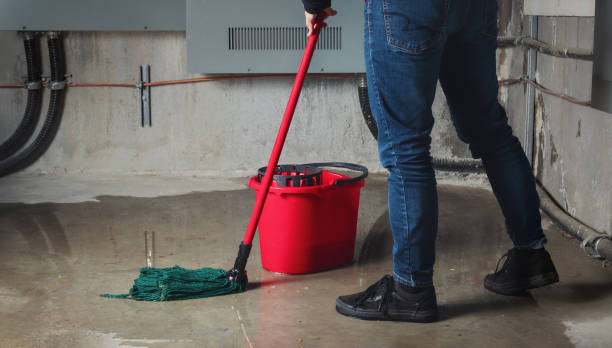Best Emergency water damage restoration  in Alturas, CA