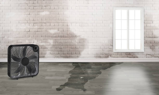 Best Water damage restoration process  in Alturas, CA