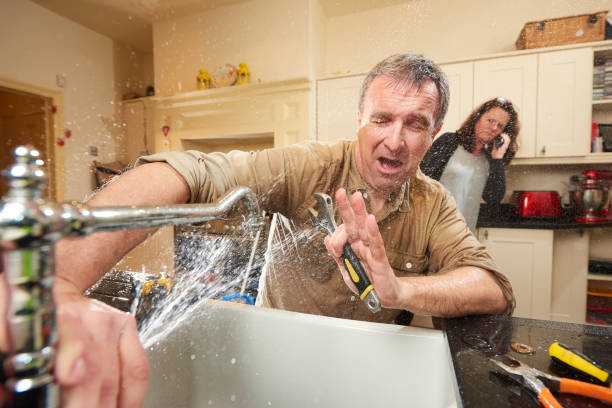 Best Mold removal after water damage  in Alturas, CA